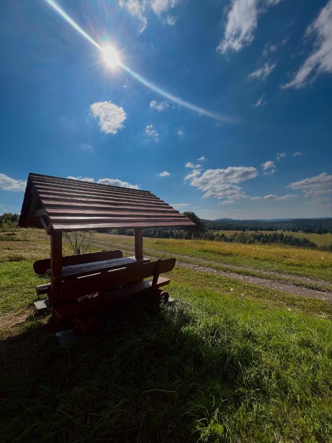 Domki U Bejdaka 789- 039 - 689 Villa Bereznica Wyzna Dış mekan fotoğraf